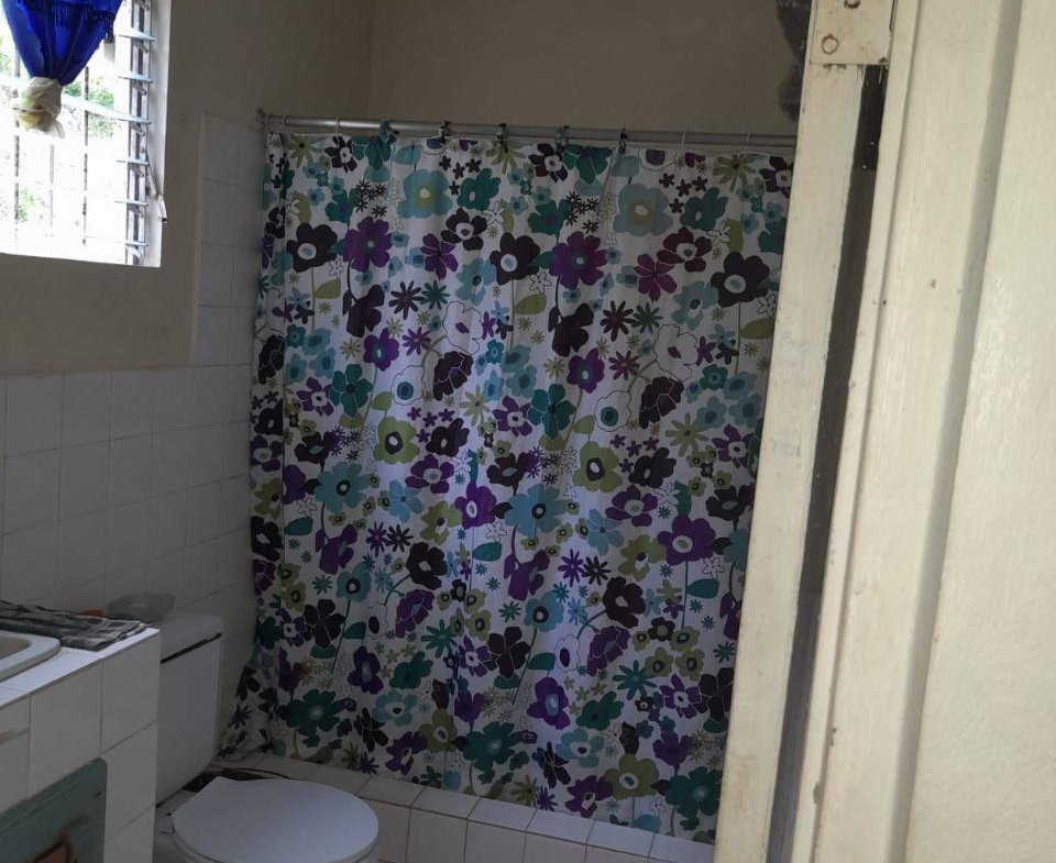 Twentieth image of Springfield Sheffield in Shefeild, Westmoreland, Jamaica - property is For Sale