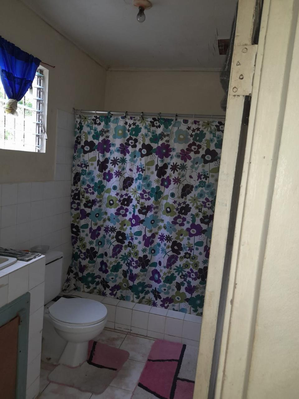 Twentieth image of Springfield Sheffield in Shefeild, Westmoreland, Jamaica - property is For Sale