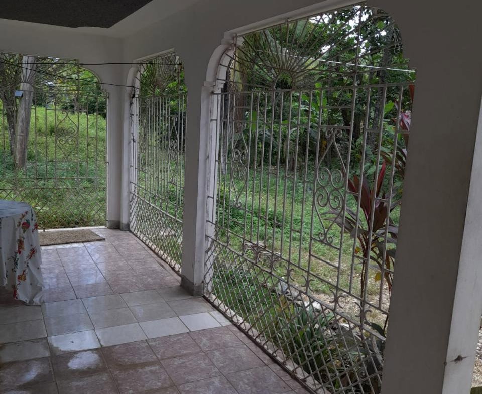 Twenty-First image of Springfield Sheffield in Shefeild, Westmoreland, Jamaica - property is For Sale