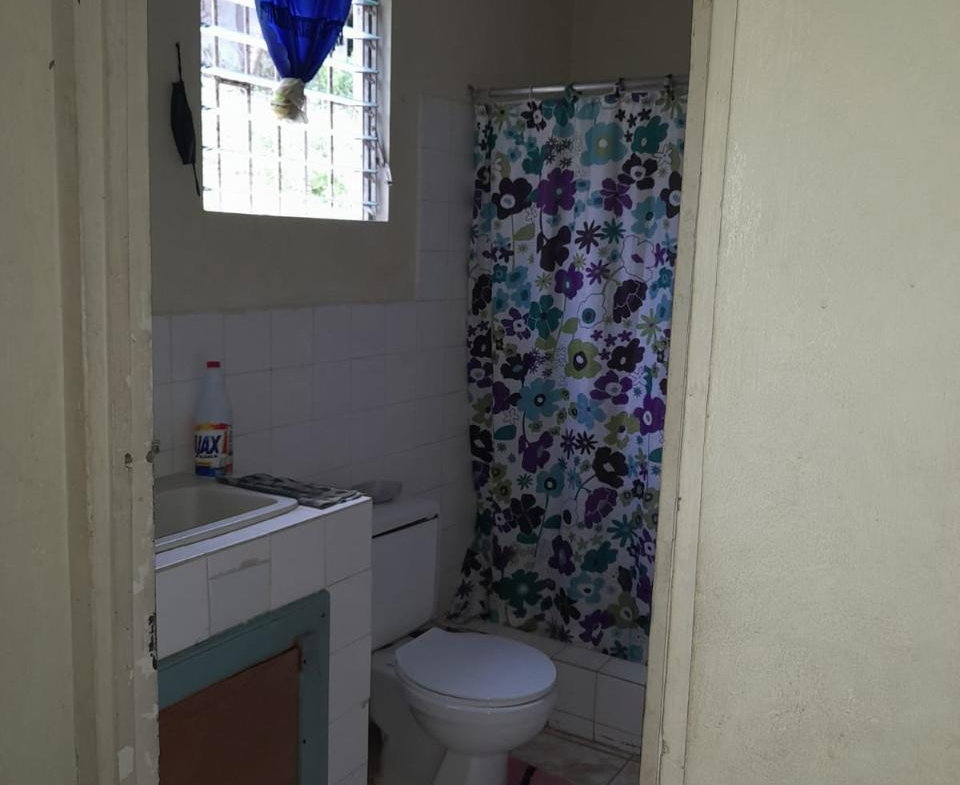 Twenty-Fifth image of Springfield Sheffield in Shefeild, Westmoreland, Jamaica - property is For Sale