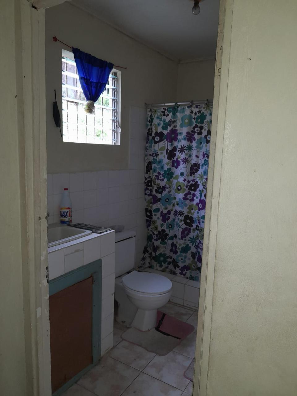 Twenty-Fifth image of Springfield Sheffield in Shefeild, Westmoreland, Jamaica - property is For Sale
