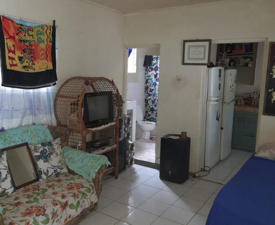 Twenty-Seventh image of Springfield Sheffield in Shefeild, Westmoreland, Jamaica - property is For Sale