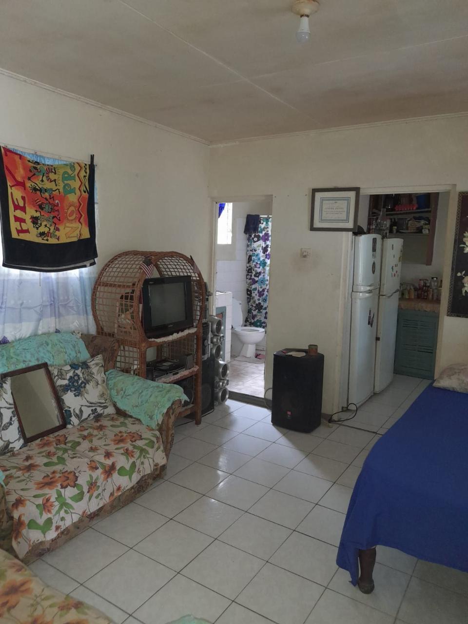Twenty-Seventh image of Springfield Sheffield in Shefeild, Westmoreland, Jamaica - property is For Sale