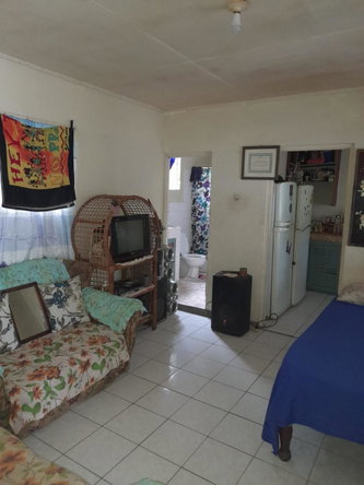 Twenty-Seventh image of Springfield Sheffield in Shefeild, Westmoreland, Jamaica - property is For Sale
