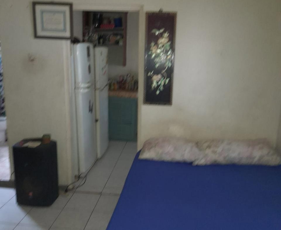 Twenty-Ninth image of Springfield Sheffield in Shefeild, Westmoreland, Jamaica - property is For Sale
