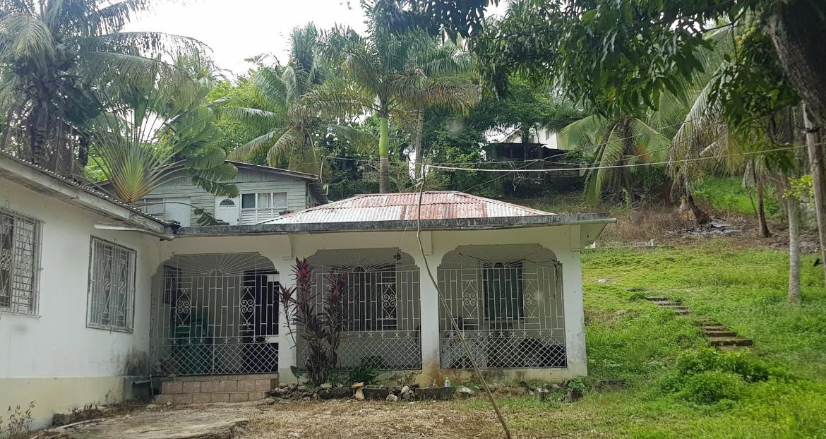 Fourth image of Springfield Sheffield in Shefeild, Westmoreland, Jamaica - property is For Sale
