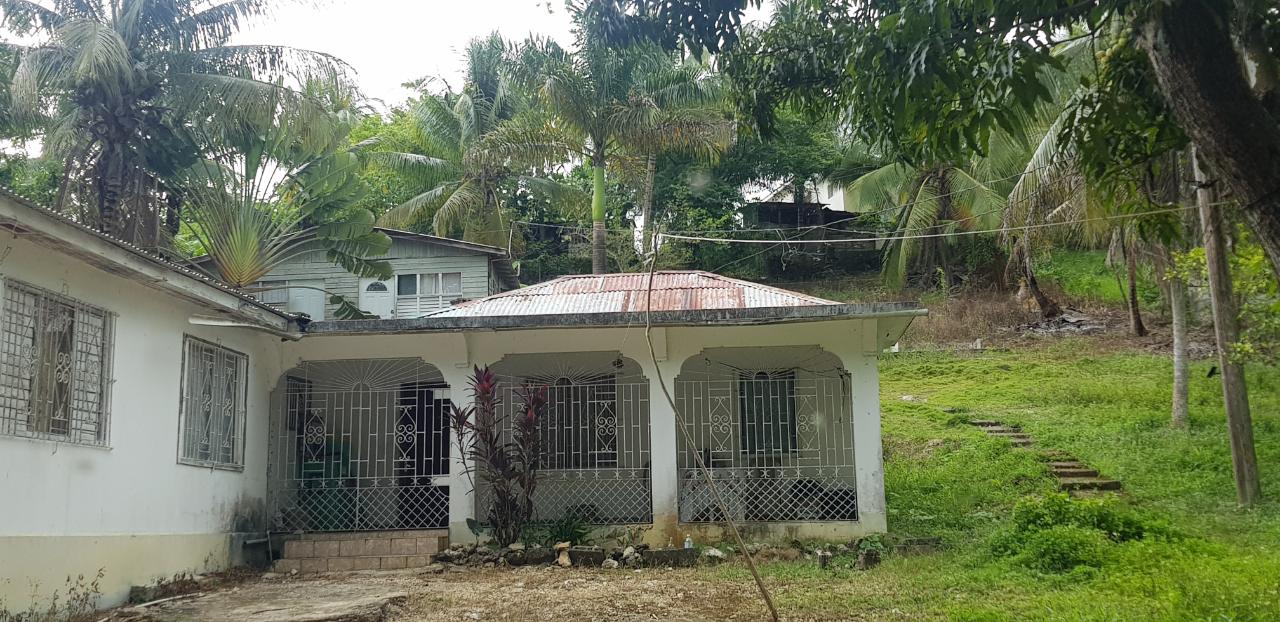 Fourth image of Springfield Sheffield in Shefeild, Westmoreland, Jamaica - property is For Sale