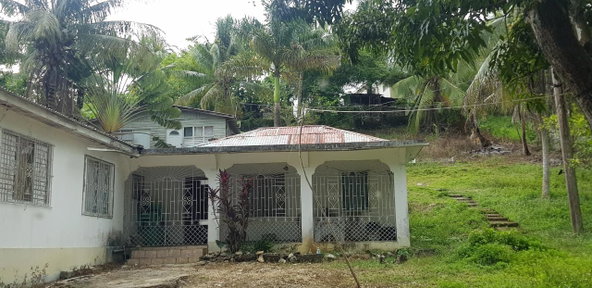 Fourth image of Springfield Sheffield in Shefeild, Westmoreland, Jamaica - property is For Sale