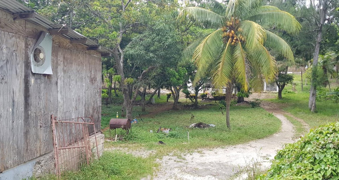 Sixth image of Springfield Sheffield in Shefeild, Westmoreland, Jamaica - property is For Sale