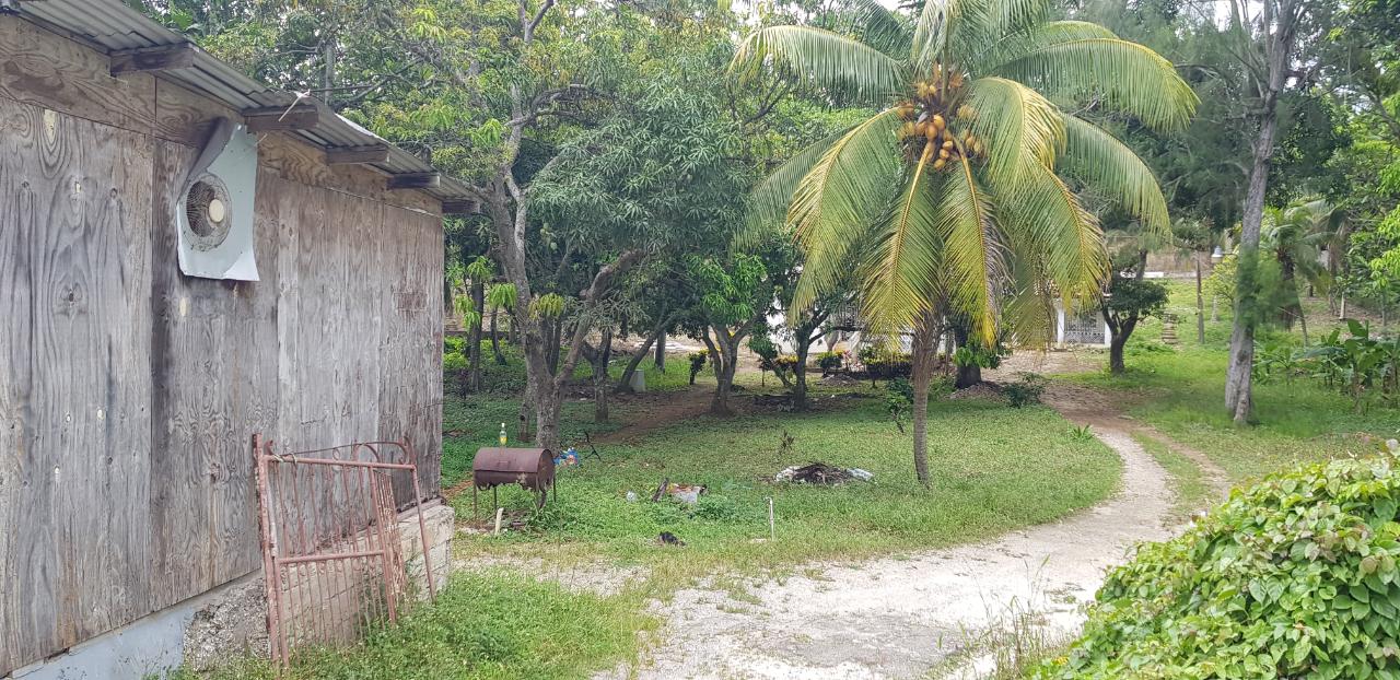 Sixth image of Springfield Sheffield in Shefeild, Westmoreland, Jamaica - property is For Sale