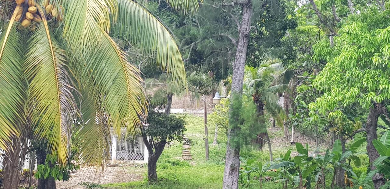 Seventh image of Springfield Sheffield in Shefeild, Westmoreland, Jamaica - property is For Sale