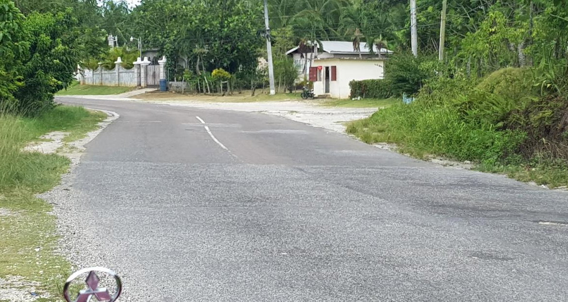 Eighth image of Springfield Sheffield in Shefeild, Westmoreland, Jamaica - property is For Sale