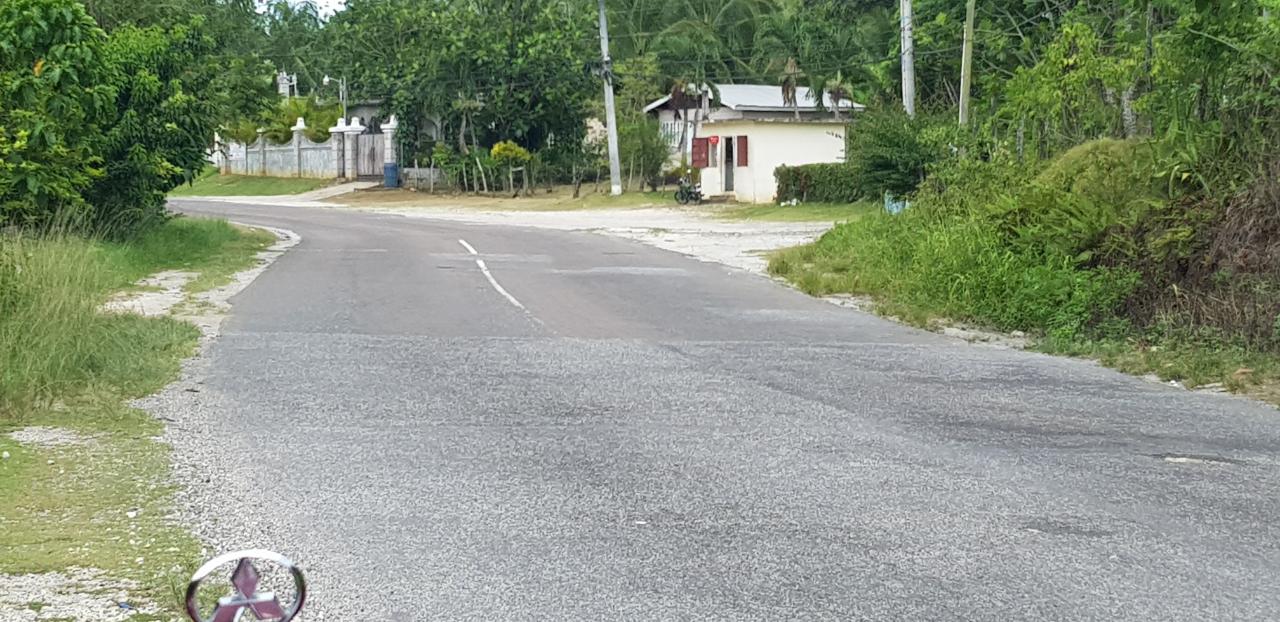 Eighth image of Springfield Sheffield in Shefeild, Westmoreland, Jamaica - property is For Sale