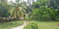 First image of Springfield Sheffield in Shefeild, Westmoreland, Jamaica - property is For Sale