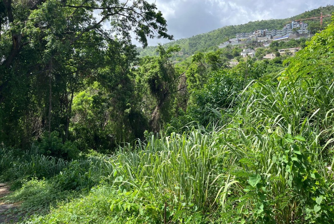 Second image of 4 Ridgeway Terrace in Kingston 6, St. Andrew, Jamaica - property is For Sale