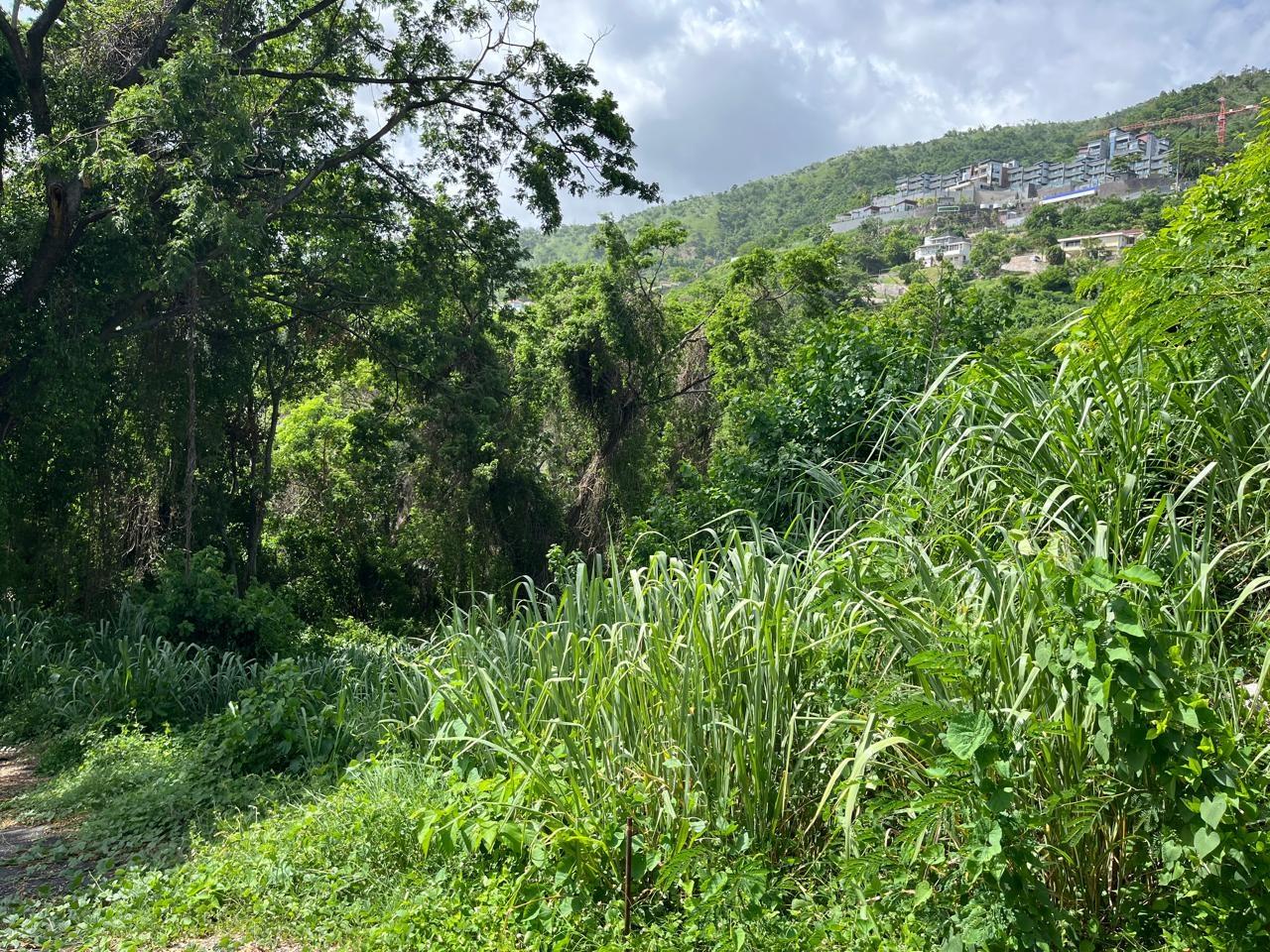 Prime-1.25-Acre-Residential-Lot-for-Sale-in-Kingston-6 Second image of 4 Ridgeway Terrace in Kingston 6, St. Andrew, Jamaica - property is For Sale