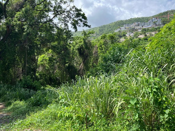 Second image of 4 Ridgeway Terrace in Kingston 6, St. Andrew, Jamaica - property is For Sale