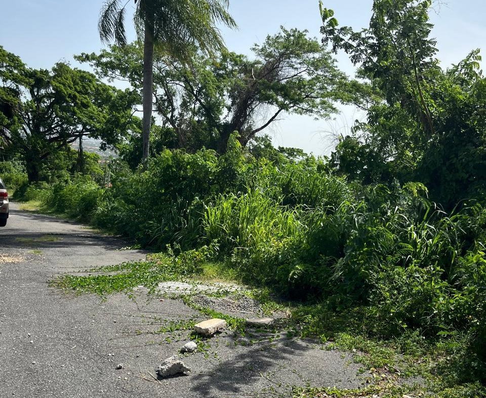 Eleventh image of 4 Ridgeway Terrace in Kingston 6, St. Andrew, Jamaica - property is For Sale