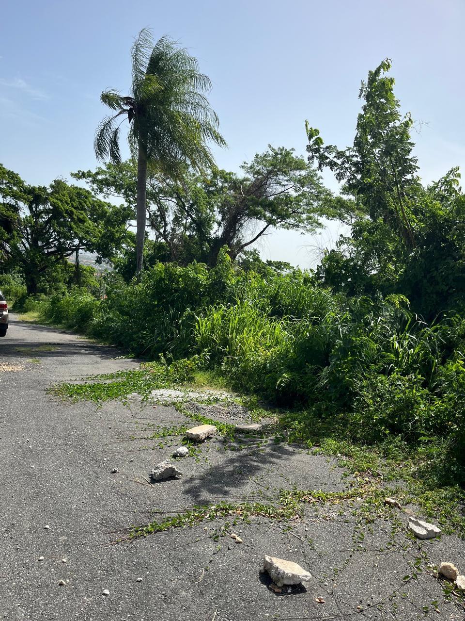 Prime-1.25-Acre-Residential-Lot-for-Sale-in-Kingston-6 Eleventh image of 4 Ridgeway Terrace in Kingston 6, St. Andrew, Jamaica - property is For Sale