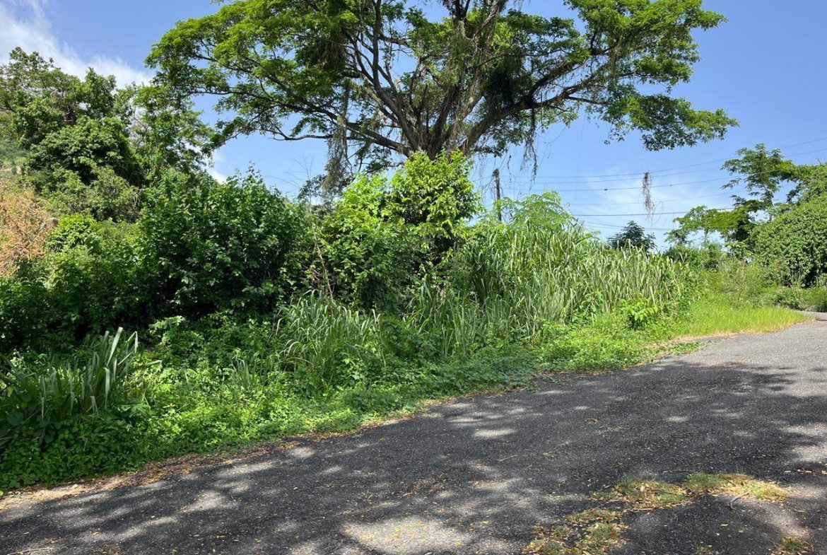 Twelfth image of 4 Ridgeway Terrace in Kingston 6, St. Andrew, Jamaica - property is For Sale