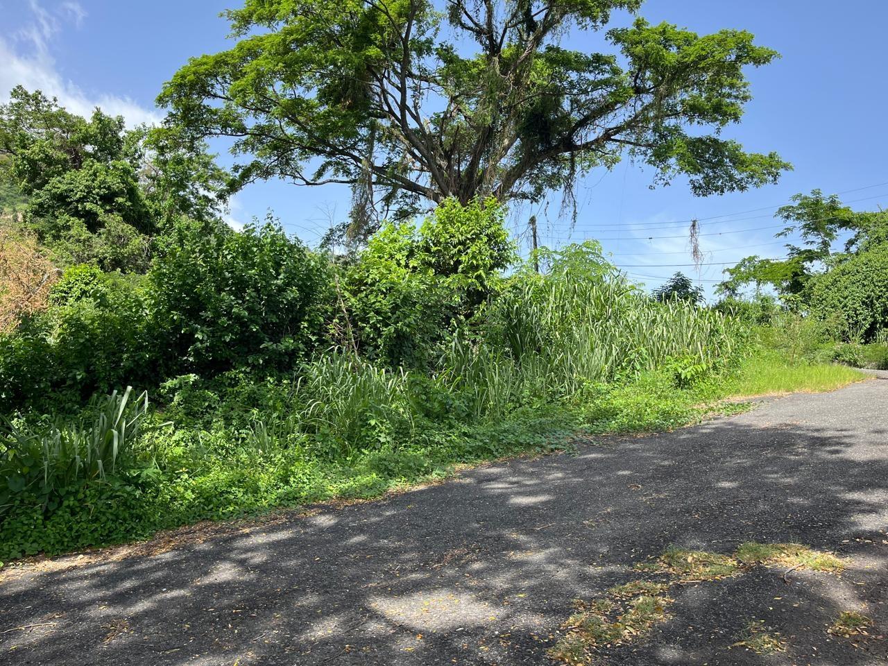 Prime-1.25-Acre-Residential-Lot-for-Sale-in-Kingston-6 Twelfth image of 4 Ridgeway Terrace in Kingston 6, St. Andrew, Jamaica - property is For Sale