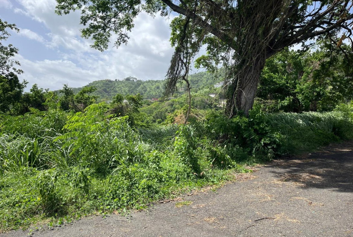 First image of 4 Ridgeway Terrace in Kingston 6, St. Andrew, Jamaica - property is For Sale