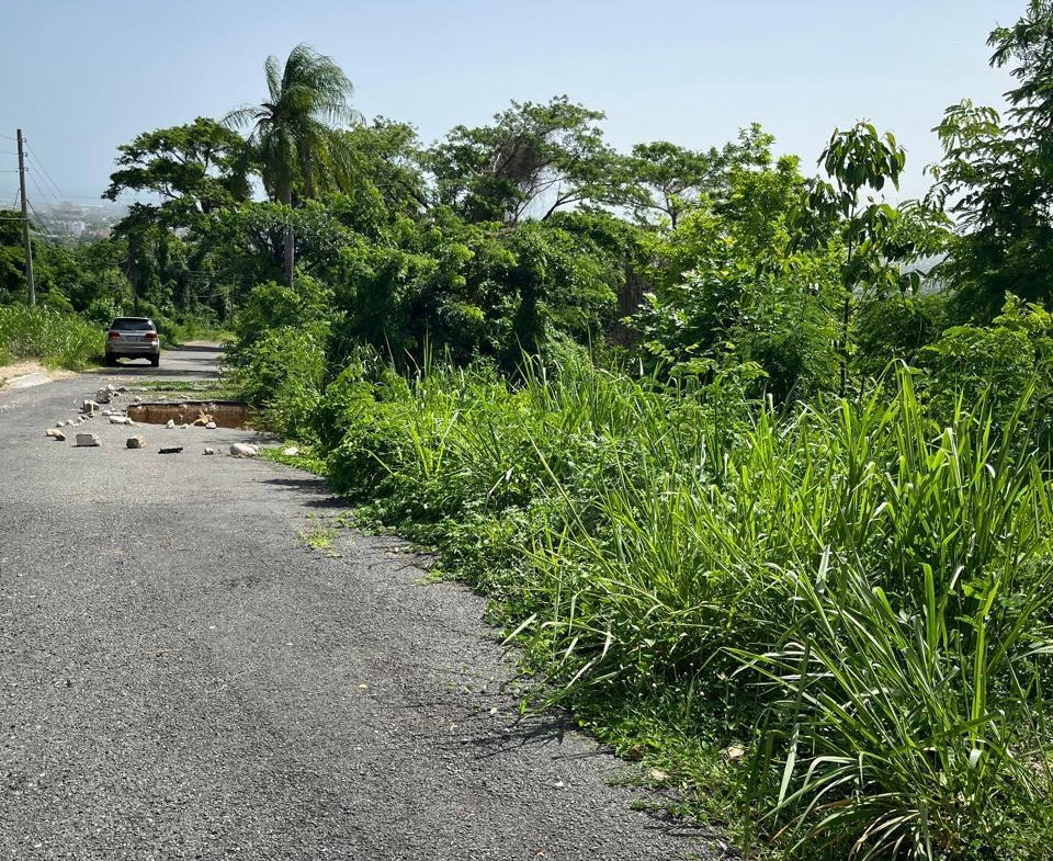 Sixteenth image of 4 Ridgeway Terrace in Kingston 6, St. Andrew, Jamaica - property is For Sale