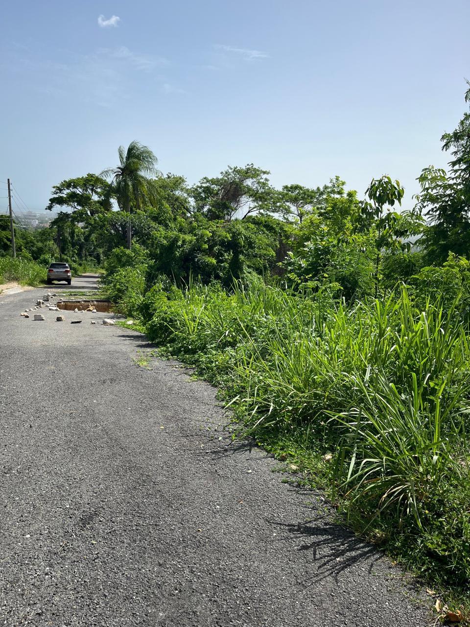 Prime-1.25-Acre-Residential-Lot-for-Sale-in-Kingston-6 Sixteenth image of 4 Ridgeway Terrace in Kingston 6, St. Andrew, Jamaica - property is For Sale