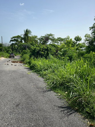 Sixteenth image of 4 Ridgeway Terrace in Kingston 6, St. Andrew, Jamaica - property is For Sale