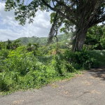 First image of 4 Ridgeway Terrace in Kingston 6, St. Andrew, Jamaica - property is For Sale