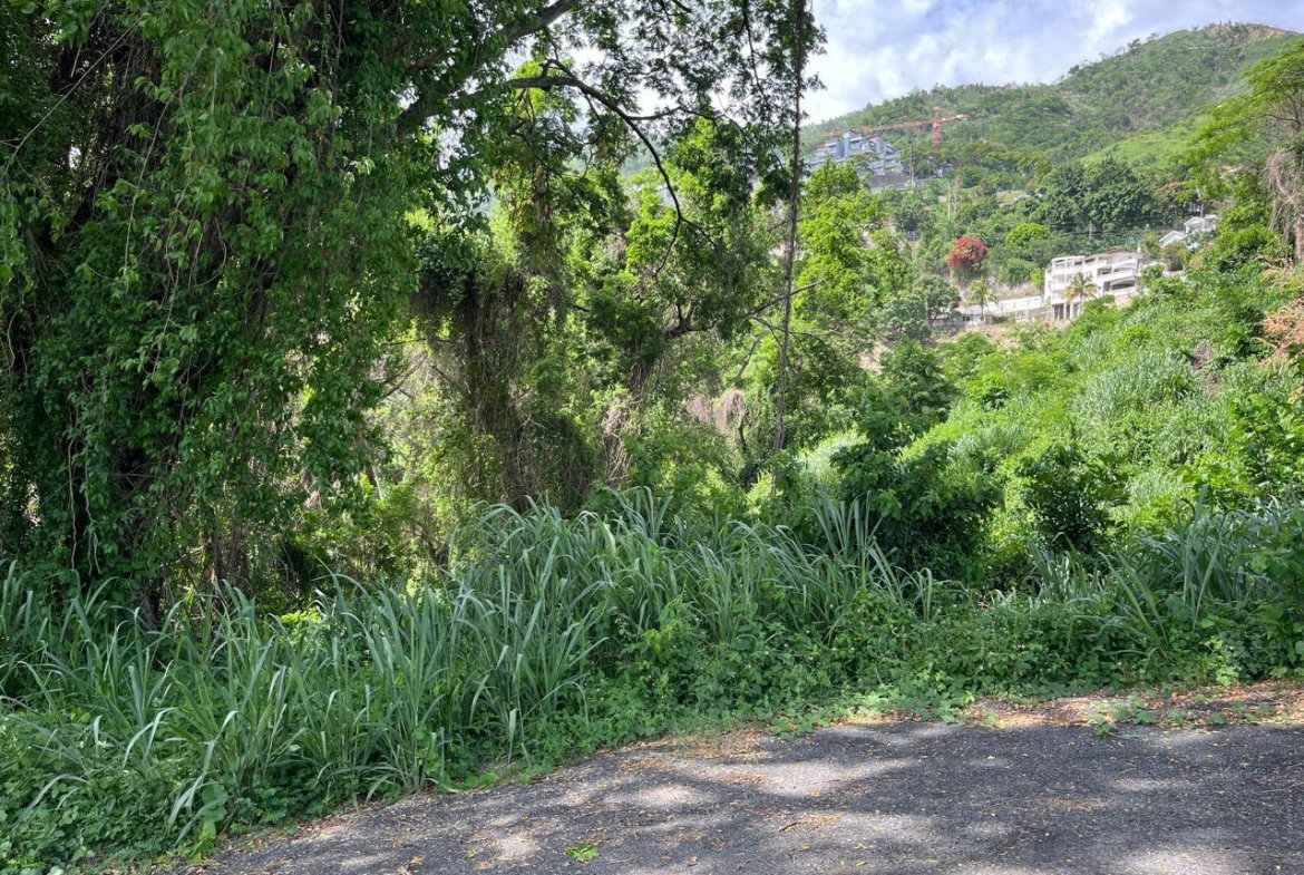 Third image of 4 Ridgeway Terrace in Kingston 6, St. Andrew, Jamaica - property is For Sale