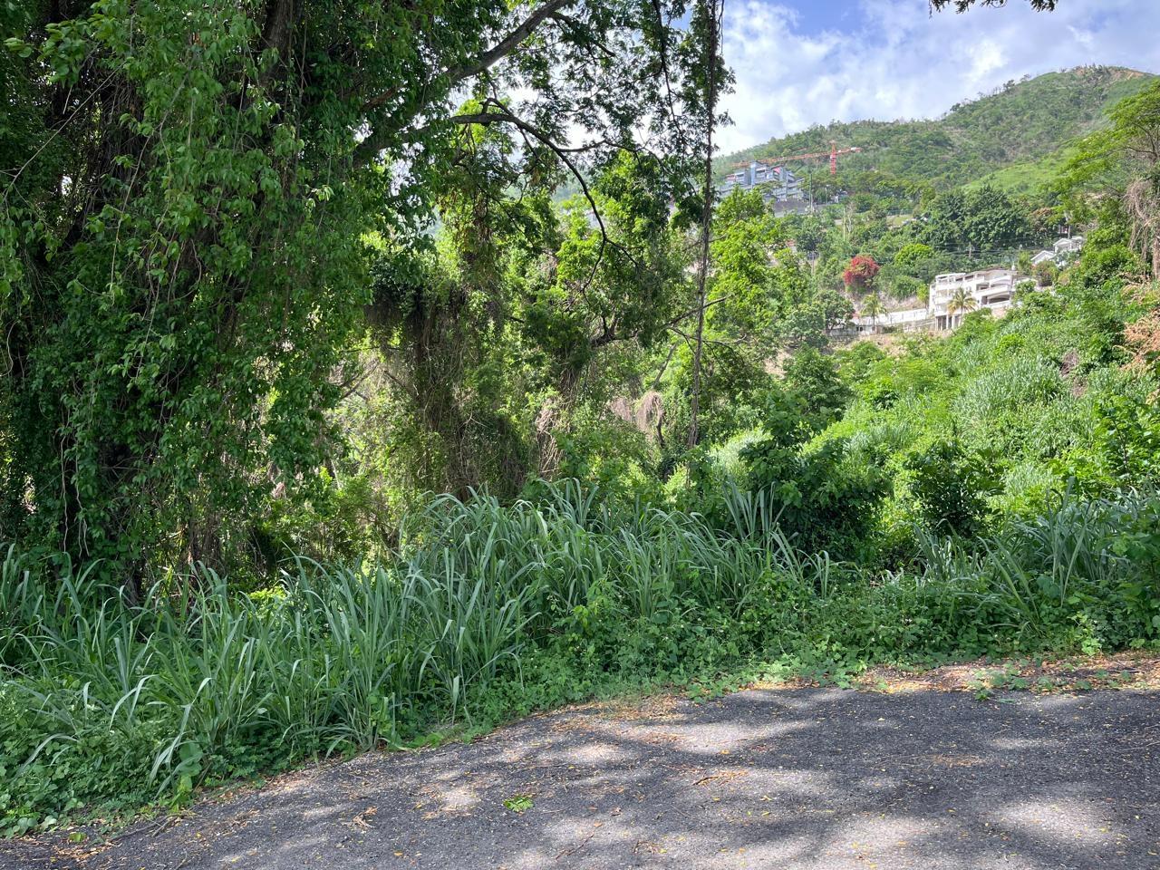 Prime-1.25-Acre-Residential-Lot-for-Sale-in-Kingston-6 Third image of 4 Ridgeway Terrace in Kingston 6, St. Andrew, Jamaica - property is For Sale