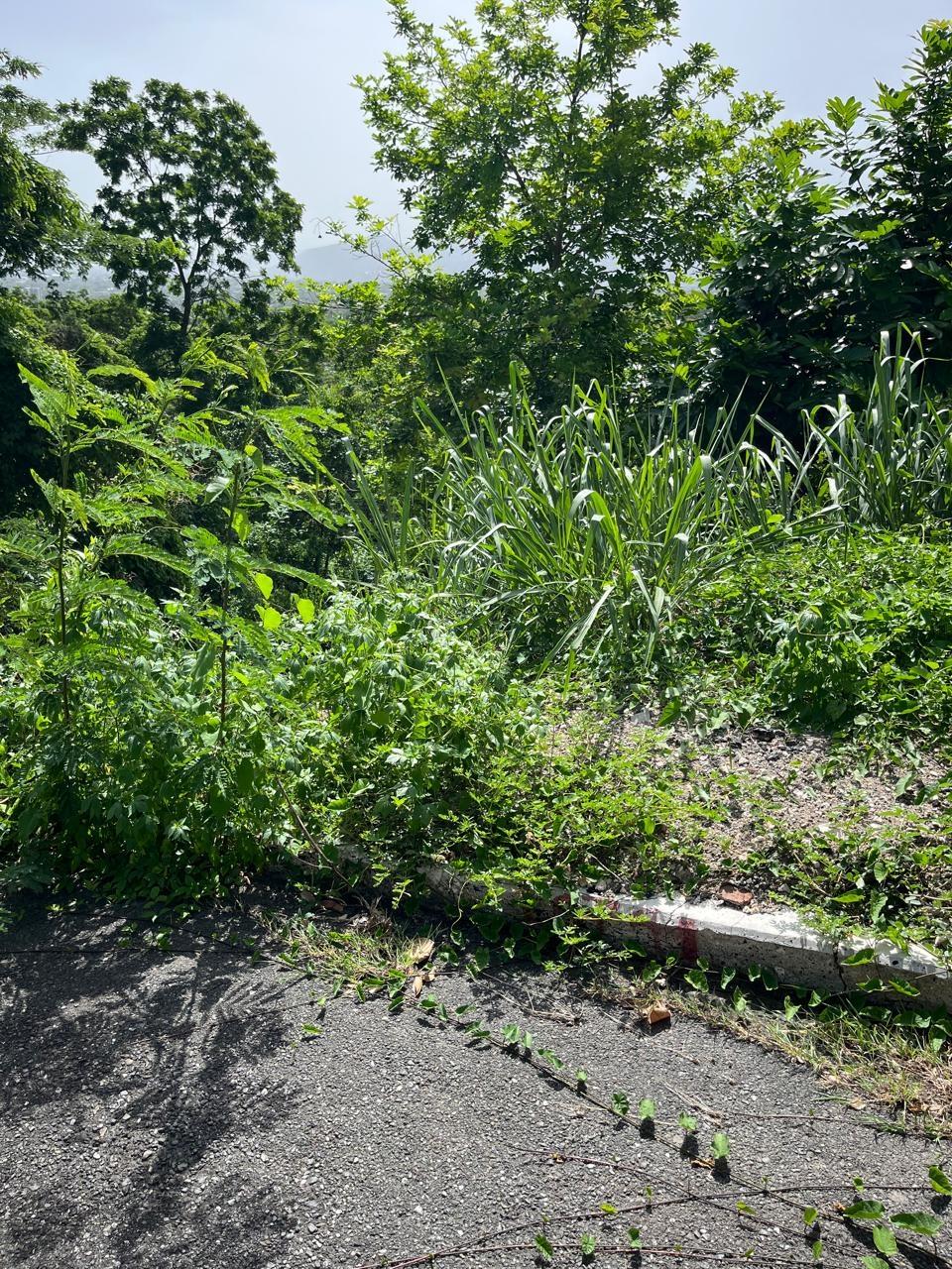 Prime-1.25-Acre-Residential-Lot-for-Sale-in-Kingston-6 Fourth image of 4 Ridgeway Terrace in Kingston 6, St. Andrew, Jamaica - property is For Sale
