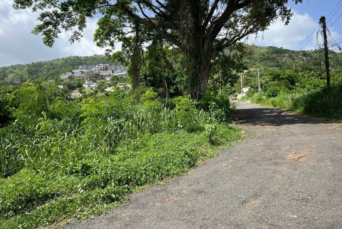 Fifth image of 4 Ridgeway Terrace in Kingston 6, St. Andrew, Jamaica - property is For Sale