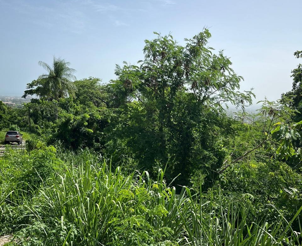 Sixth image of 4 Ridgeway Terrace in Kingston 6, St. Andrew, Jamaica - property is For Sale