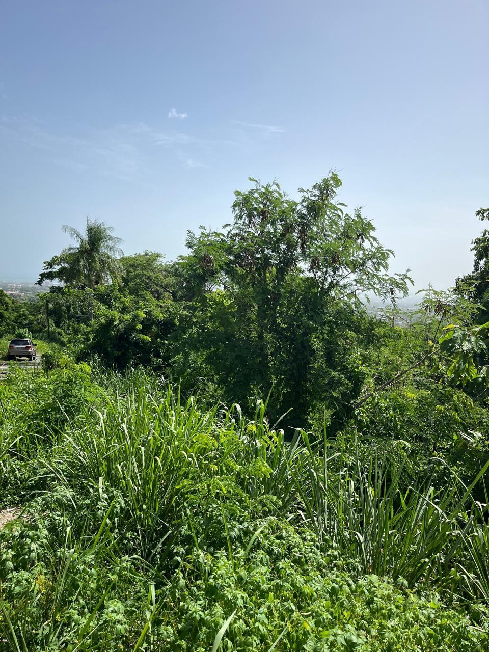 Prime-1.25-Acre-Residential-Lot-for-Sale-in-Kingston-6 Sixth image of 4 Ridgeway Terrace in Kingston 6, St. Andrew, Jamaica - property is For Sale