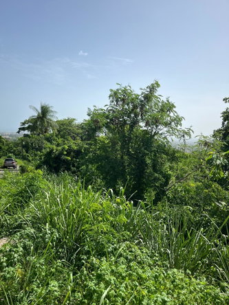 Sixth image of 4 Ridgeway Terrace in Kingston 6, St. Andrew, Jamaica - property is For Sale