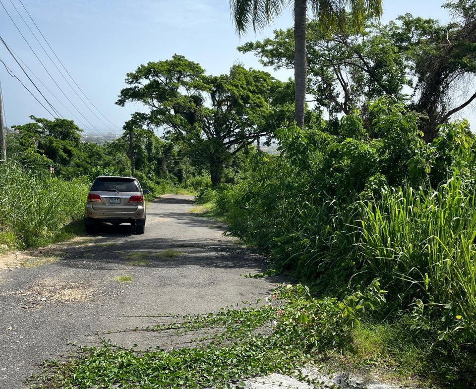 Seventh image of 4 Ridgeway Terrace in Kingston 6, St. Andrew, Jamaica - property is For Sale