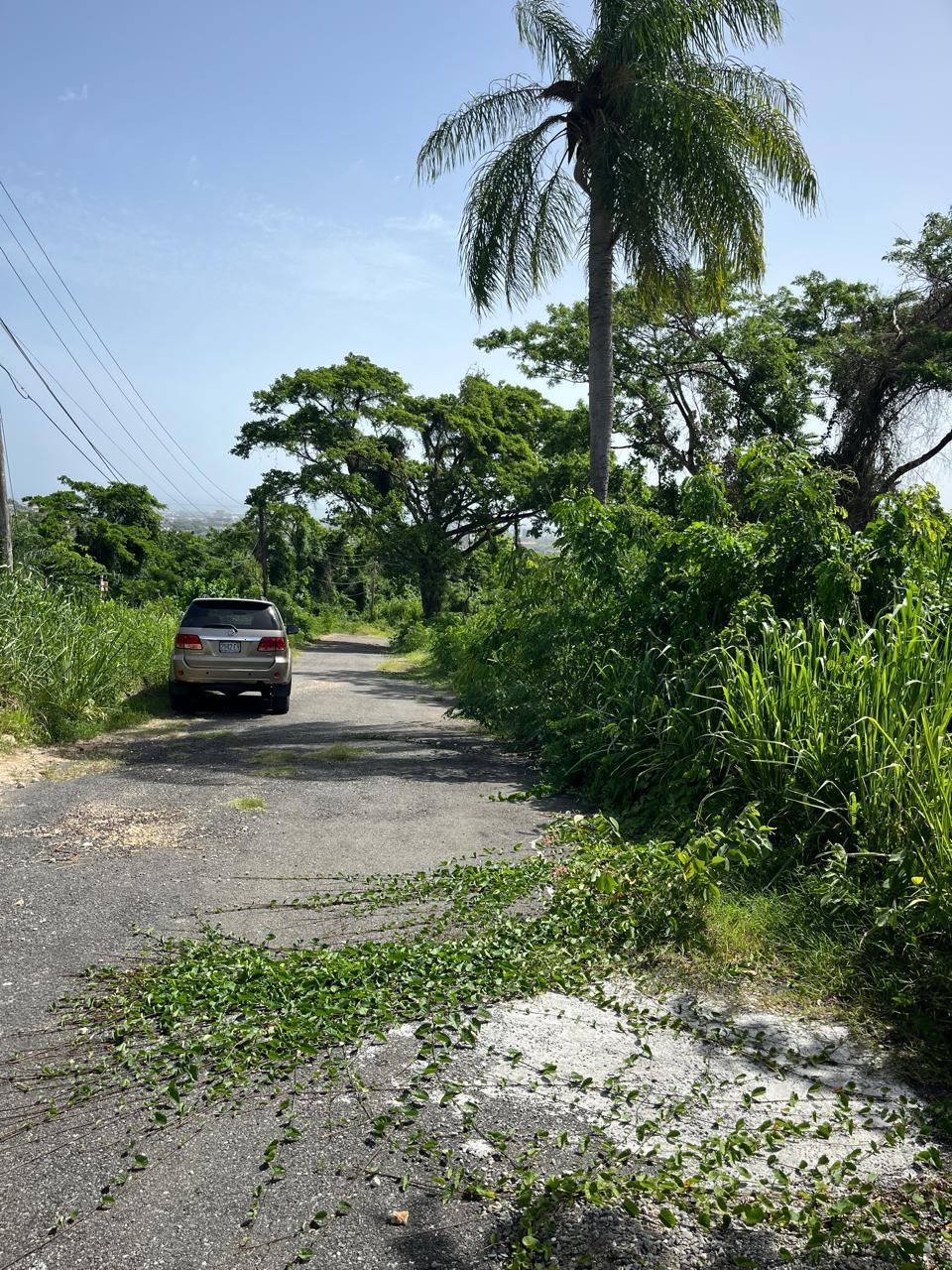 Prime-1.25-Acre-Residential-Lot-for-Sale-in-Kingston-6 Seventh image of 4 Ridgeway Terrace in Kingston 6, St. Andrew, Jamaica - property is For Sale