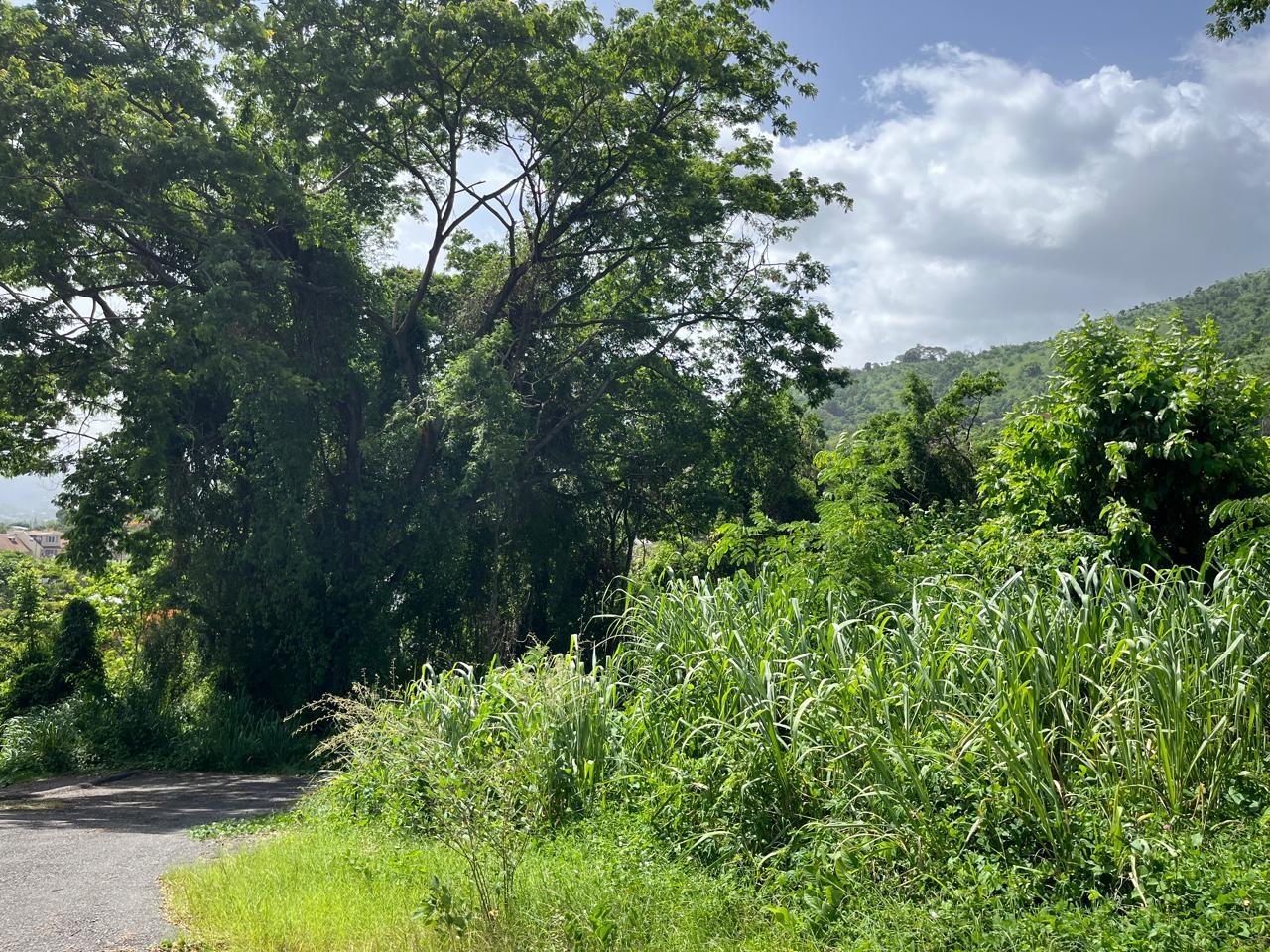 Prime-1.25-Acre-Residential-Lot-for-Sale-in-Kingston-6 Eighth image of 4 Ridgeway Terrace in Kingston 6, St. Andrew, Jamaica - property is For Sale