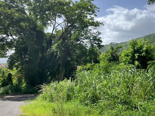 Eighth image of 4 Ridgeway Terrace in Kingston 6, St. Andrew, Jamaica - property is For Sale