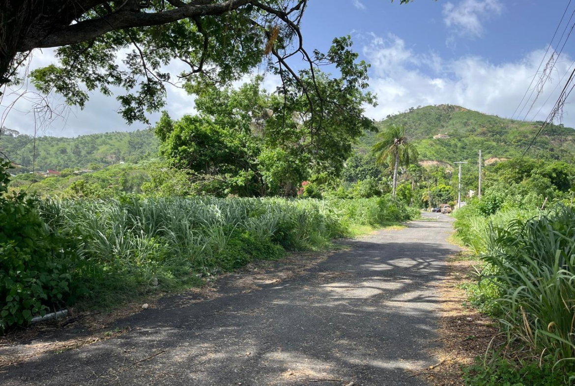 Ninth image of 4 Ridgeway Terrace in Kingston 6, St. Andrew, Jamaica - property is For Sale