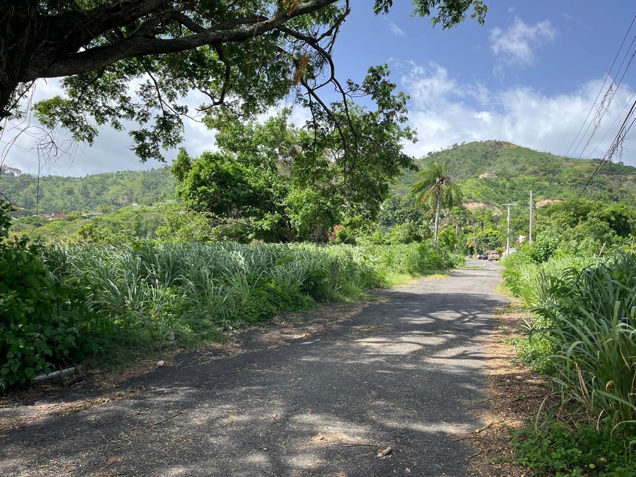 Prime-1.25-Acre-Residential-Lot-for-Sale-in-Kingston-6 Ninth image of 4 Ridgeway Terrace in Kingston 6, St. Andrew, Jamaica - property is For Sale