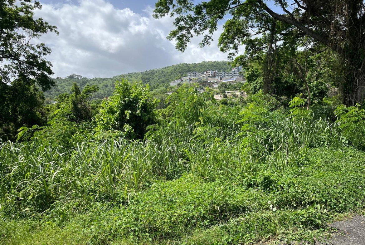 Tenth image of 4 Ridgeway Terrace in Kingston 6, St. Andrew, Jamaica - property is For Sale