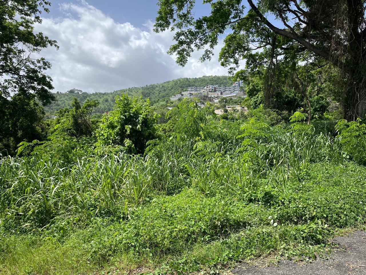 Prime-1.25-Acre-Residential-Lot-for-Sale-in-Kingston-6 Tenth image of 4 Ridgeway Terrace in Kingston 6, St. Andrew, Jamaica - property is For Sale