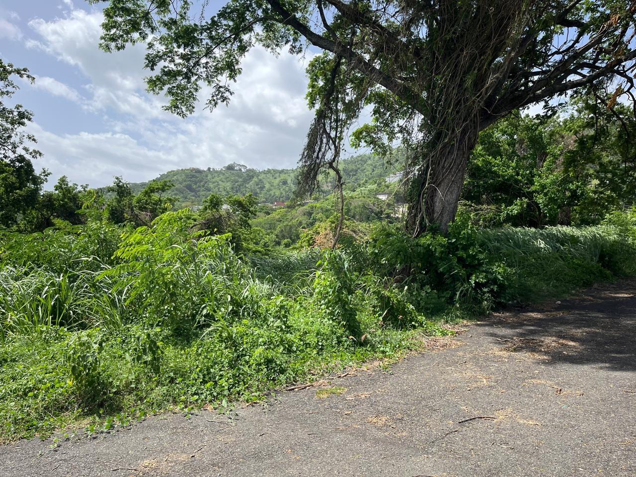 Prime-1.25-Acre-Residential-Lot-for-Sale-in-Kingston-6 First image of 4 Ridgeway Terrace in Kingston 6, St. Andrew, Jamaica - property is For Sale