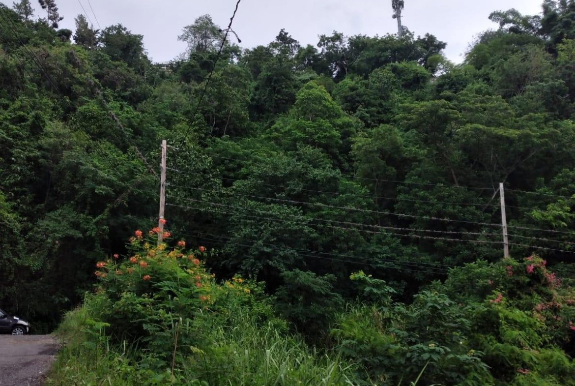 Second image of Lot 2a2b2c-skyline dr Jacks Hill in Jacks Hill, St. Andrew, Jamaica - property is For Sale