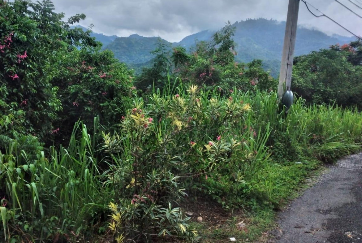 Eleventh image of Lot 2a2b2c-skyline dr Jacks Hill in Jacks Hill, St. Andrew, Jamaica - property is For Sale