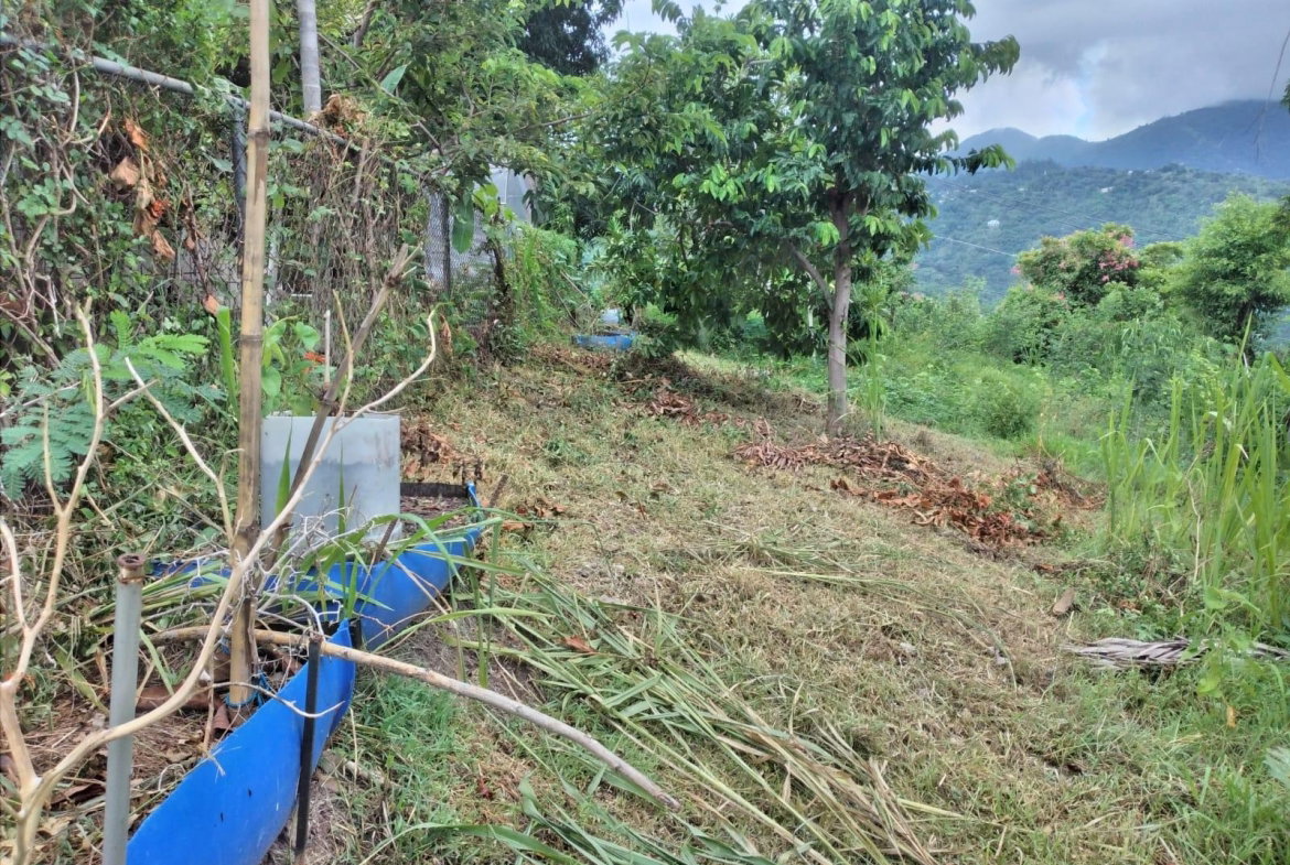 Thirteenth image of Lot 2a2b2c-skyline dr Jacks Hill in Jacks Hill, St. Andrew, Jamaica - property is For Sale