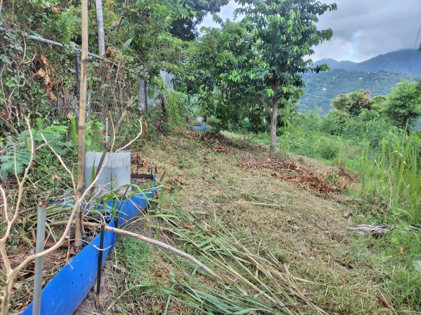 Thirteenth image of Lot 2a2b2c-skyline dr Jacks Hill in Jacks Hill, St. Andrew, Jamaica - property is For Sale